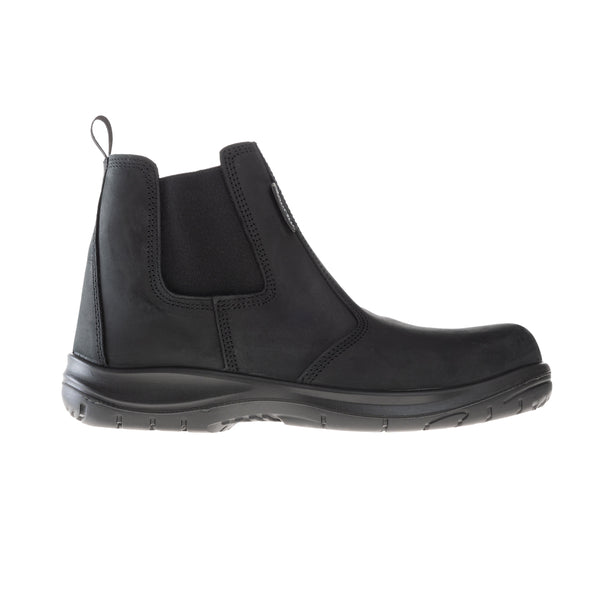 B-Light Black