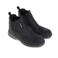 B-Light Black