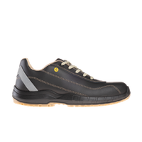 Evo Brown Low